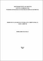 Dissertação_MonicaSilva_PPGECIM.pdf.jpg