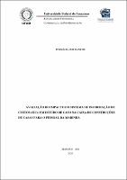 DissertaÇão_PatríciaSantos_PPGEP.pdf.jpg