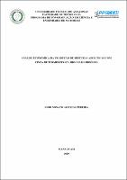 Dissertação_IgorPereira_PPGCEM.pdf.jpg