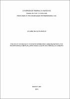 Dissertação_JocianeAraujo_PPGEC.pdf.jpg