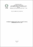 Dissertação_JoãoRodrigues_PPGL.pdf.jpg