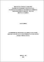 Dissertação_LauraLandau_PPGCASA.pdf.jpg