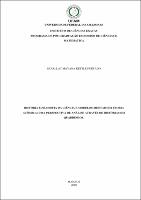 Dissertação_SkarllatFurtado_PPGECIM.pdf.jpg
