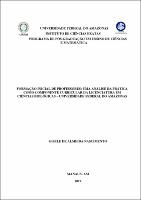 Dissertação_GiseleNascimento_PPGECIM.pdf.jpg