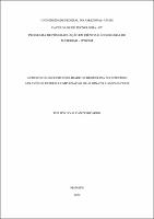 Dissertação_PhilipiRicardo_PPGCEM.pdf.jpg