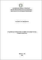 Dissertação_IoneMendes_PPGE.pdf.jpg