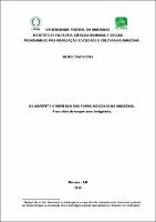 Dissertação_SilvioCavuscens_PPGSCA.pdf.jpg