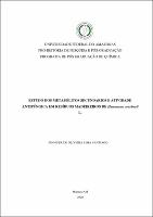 Dissertação_JenniferSantiado_PPGQ.pdf.jpg