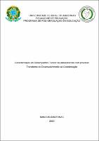 Dissertação_LenaFarias_PPGE.pdf.jpg