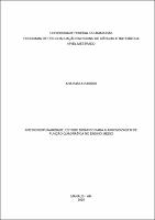Dissertação_AnaPaulaPassos_PPGECIM.pdf.jpg