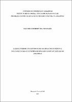 Dissertação_SalanizaSales_PPGSCA.pdf.jpg