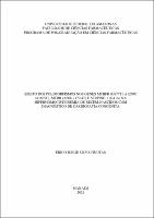 Dissertação_EricoFreitas_PPGCF.pdf.jpg