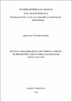 Dissertação_FernandaTolentino_PPGCEM.pdf.jpg