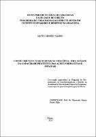 Dissertação_MateusValério_PPGDIR.pdf.jpg