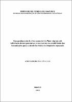 Dissertação_AynáVieira_PPGCEM.pdf.jpg