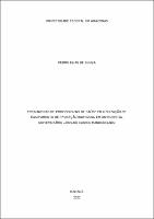Dissertação_PedroSouza_PPGCIR.pdf.jpg
