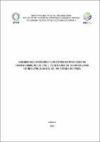 Dissertação_KamilaCraveira_PPGEOG.pdf.jpg