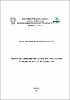 Dissertação_LeopoldoMontenegroJR_PPGEP.pdf.jpg