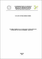 Dissertação - Suellen Cristina B. Nunes.pdf.jpg