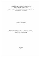 Dissertação - Teônis S. Paiva.pdf.jpg