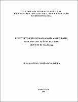 Dissertação - Hugo Valério Corrêa.pdf.jpg