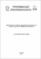 Dissertação - João Rodrigo Leitão dos Reis.pdf.jpg