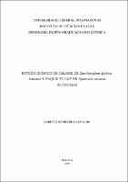 Dissertacao - Loretta Carvalho.pdf.jpg