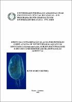 Dissertação - Ilton Soares Oliveira.pdf.jpg