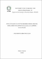 Dissertação - Jorge Felipe Oliveira Franco de Sá.pdf.jpg