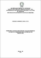 Dissertação - Roseane Guimarães Cabral Costa.pdf.jpg