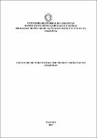 Dissertação - Agnaldo Corrêa de Souza.pdf.jpg
