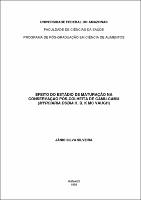 Dissertação - Janio Silva Silveira.pdf.jpg