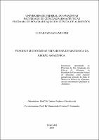 Dissertação - Silmara M Miranda.pdf.jpg