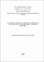 Dissertação -  Hernane Guimarães dos Santos Junior.pdf.jpg