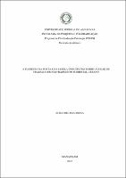 Dissertação - Adria de L Sousa.pdf.jpg
