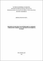 DISS_RafaelaSilva_PPGCTRA.pdf.jpg