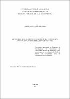 Dissertação - Astrid Siachoque Velandia.pdf.jpg