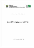 DSS_ArmandoMenezes_PPGSCA.jpg