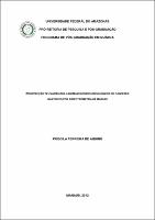 Dissertação - Priscila Ferreira de Aquino.pdf.jpg