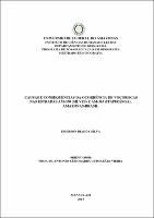 Dissertação - Emerson Dias da Silva.pdf.jpg