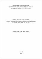 TESE_AvelinoSilva_PPGH.jpg