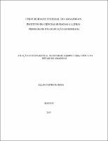 Dissertação - Allan Castro da Rosa.pdf.jpg