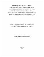 Dissertação - Ivana Cristina Lopes da Cunha.pdf.jpg