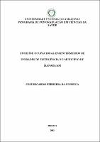 Dissertação - José Ricardo Ferreira da Fonseca.pdf.jpg