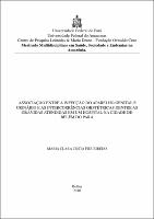 Dissertação - Maria Clara Costa Figueiredo.pdf.jpg