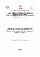 Dissertação - Vânia Cristina Ribeiro Brilhante.pdf.jpg