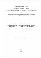 Dissertação - Márcia Cristina dos Santos Guerra.pdf.jpg