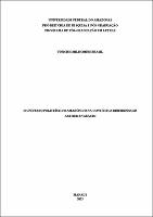 DISS_ViniciusBrasil_PPGL.pdf.jpg